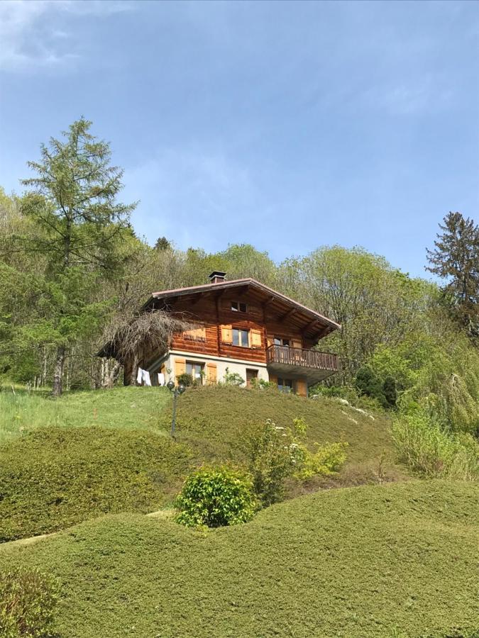 La Marmotte Qui Papote Apartment Le Grand-Bornand Luaran gambar