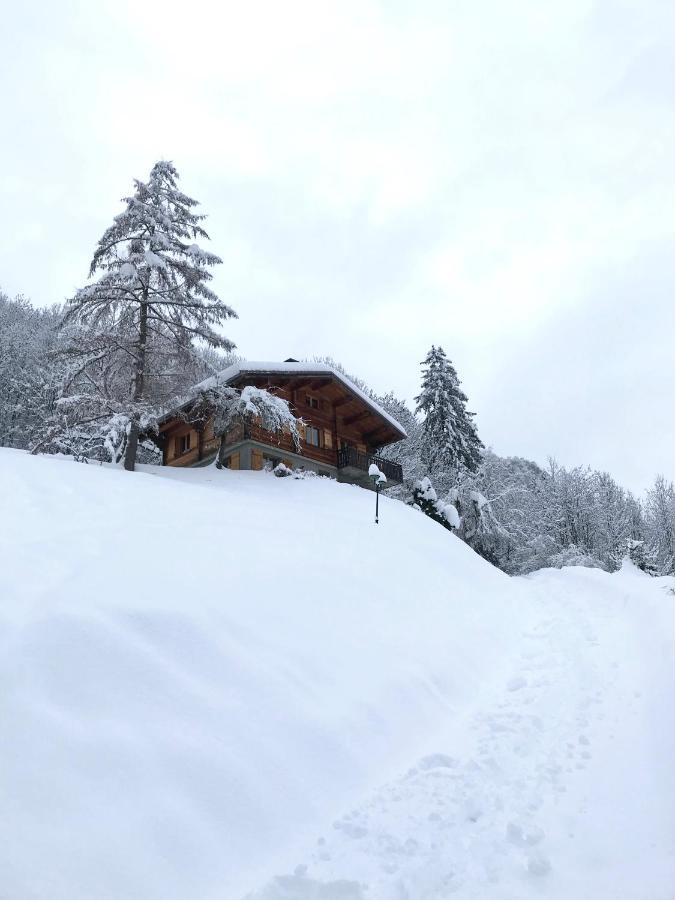 La Marmotte Qui Papote Apartment Le Grand-Bornand Luaran gambar