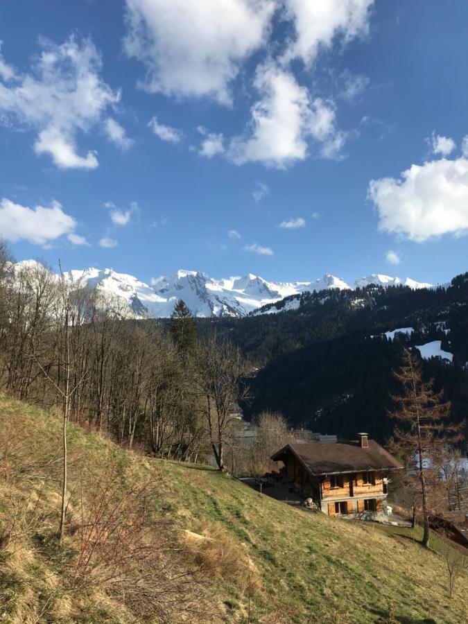 La Marmotte Qui Papote Apartment Le Grand-Bornand Luaran gambar