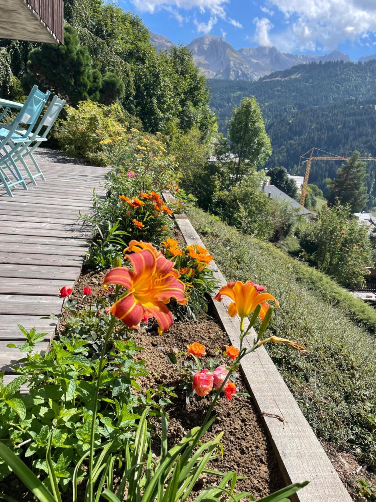 La Marmotte Qui Papote Apartment Le Grand-Bornand Luaran gambar
