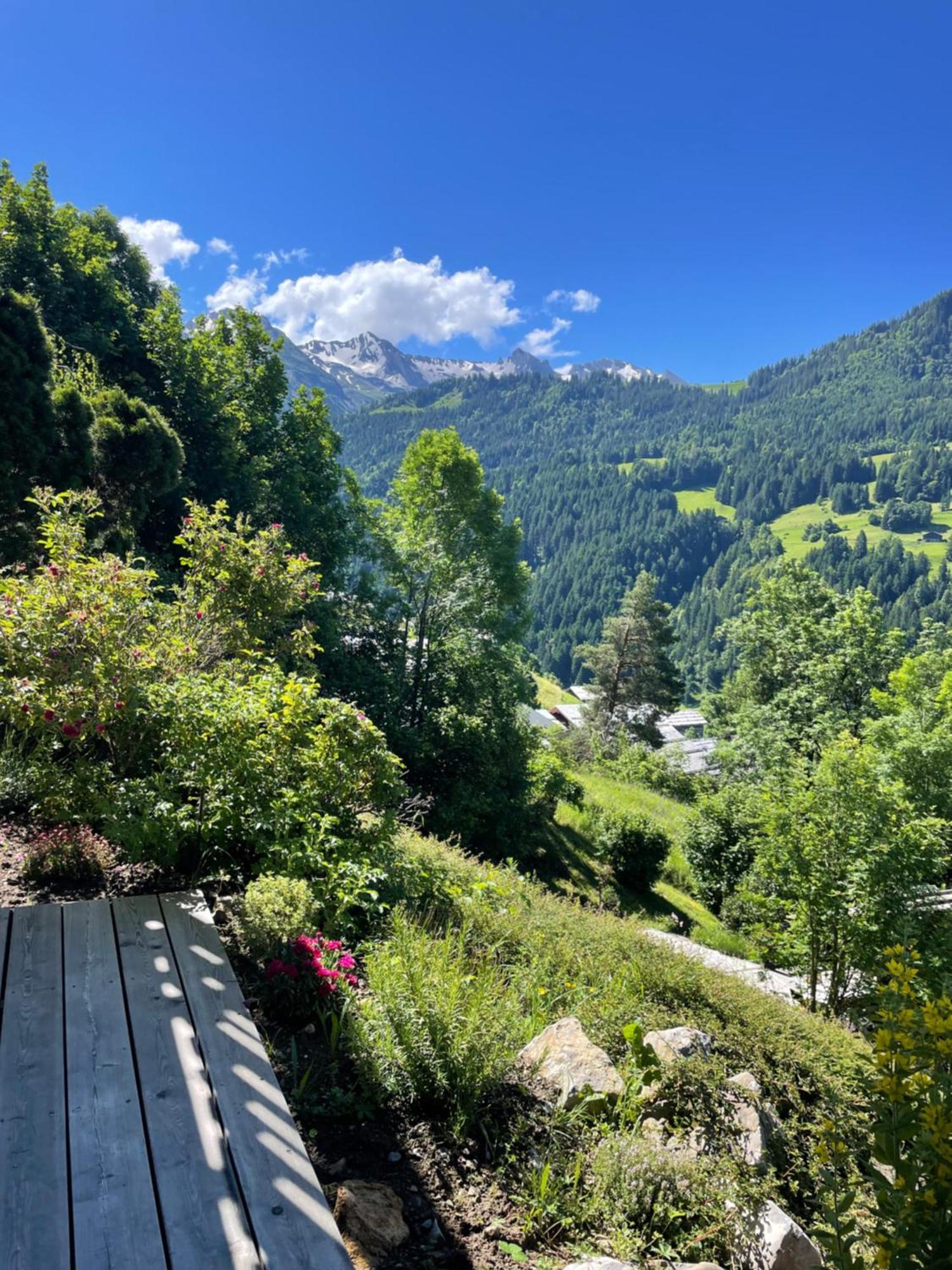 La Marmotte Qui Papote Apartment Le Grand-Bornand Luaran gambar